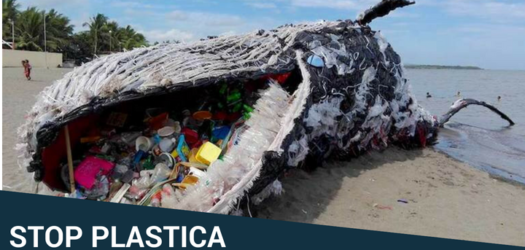 Plastic Free Challenge –  Un mare di plastica